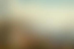 Фотография городского квеста Сказочный Архангельск Степана Писахова от компании Ubego (Фото 1)