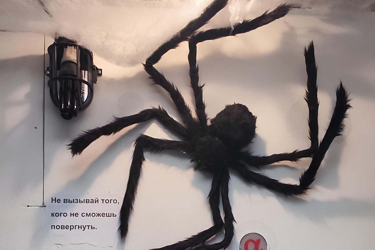 Фотография квеста Психиатрическая больница 2 от компании Игра разума (Фото 2)