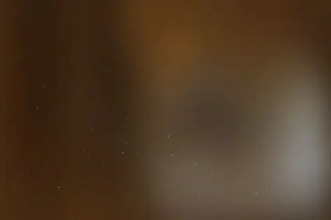 Квест «Склеп» от Аффект выхода